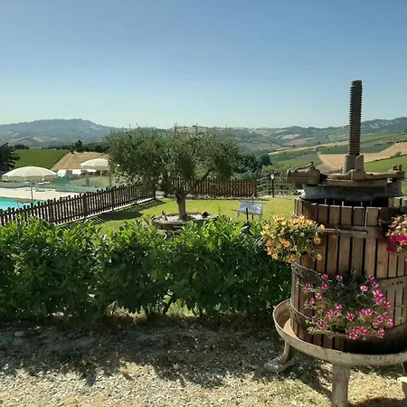 Italian Experience-la *