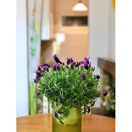 Italian Experience-la Villa *